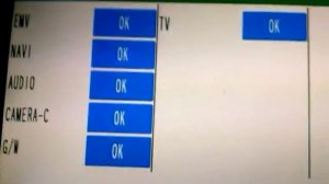 Диагностика монитора приус-20 (тайные кнопки)