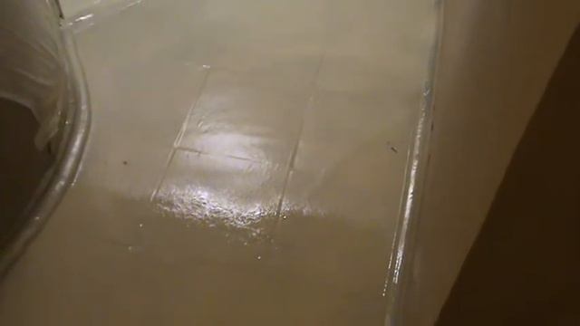 Гидроизоляция пола. Результаты.