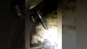 Как выставить зажигание на ваз 2101-2107