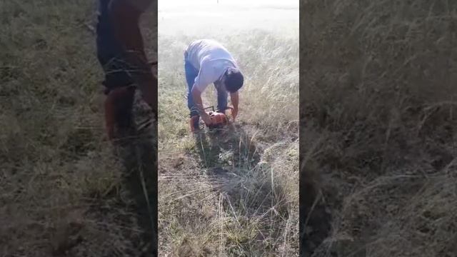 Миндалевый сад Лосковых. Часть 4. Масштабирование бизнеса. смотреть онлайн