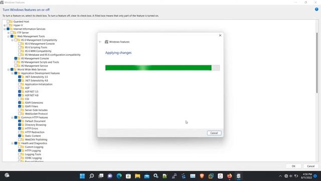 IIS Web Server Installation On Windows 11