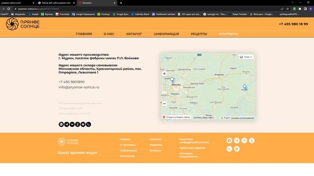 SEO-аудит - pryanoe-solnce.ru смотреть онлайн