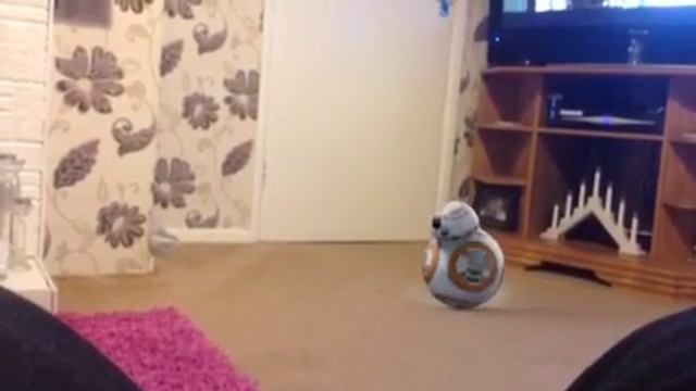 Star droid смотреть онлайн