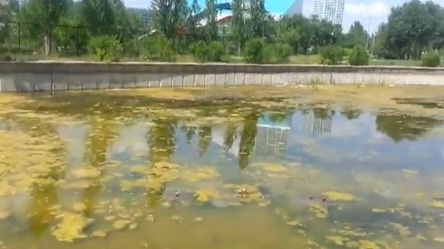 Столичный парк. г. Астана. Реклама зоопарка смотреть онлайн