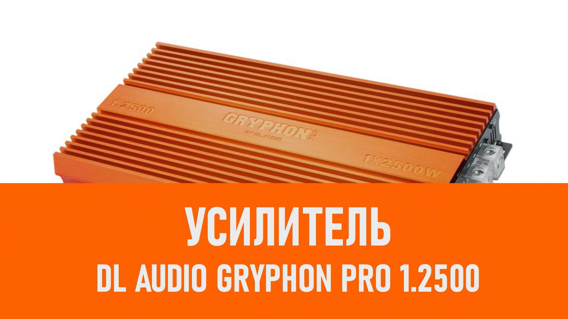 Распаковка усилителя DL Audio Gryphon Pro 1.2500 смотреть онлайн