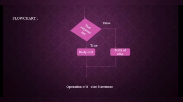 CONDITIONAL EXECUTIONS IN PYTHON (Easy &Simple Explanation) смотреть онлайн