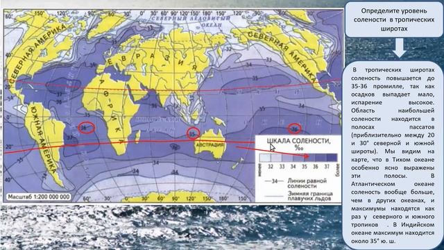 Пр. раб "Выявление закономерностей изменения солености поверхностных вод Мирового океана" смотреть онлайн