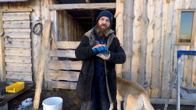 Дрова или палец? Плохо в деревне без руки смотреть онлайн