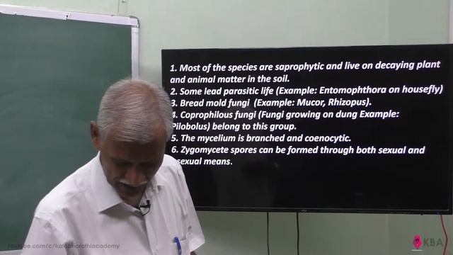 46.Botany | The living world | Zycomycetes смотреть онлайн