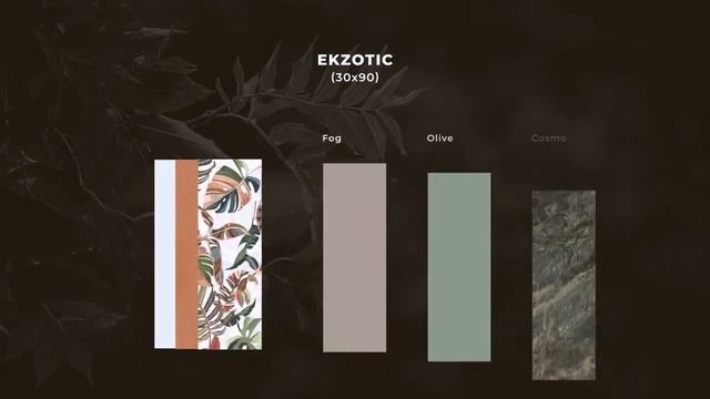 Коллекция плитки CRETO EKZOTIC смотреть онлайн