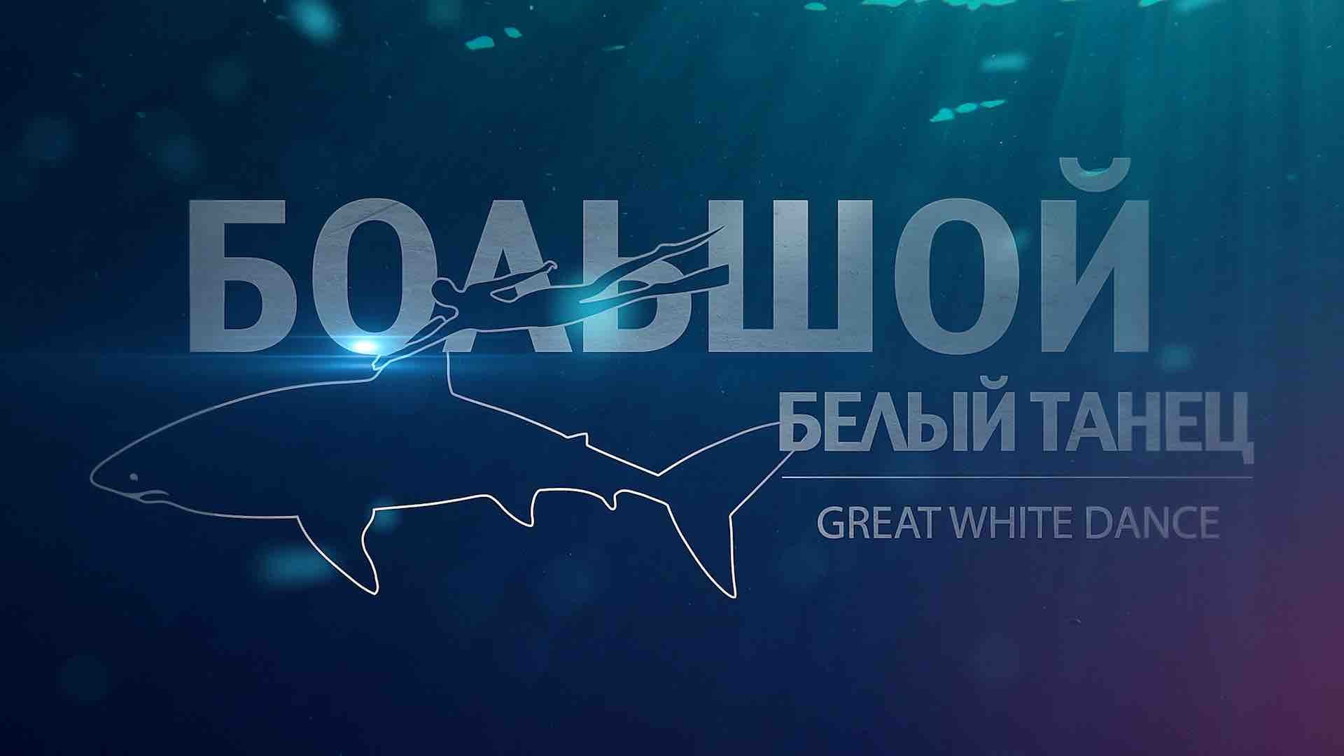 Большой белый танец | документальный фильм про акул 12+ смотреть онлайн