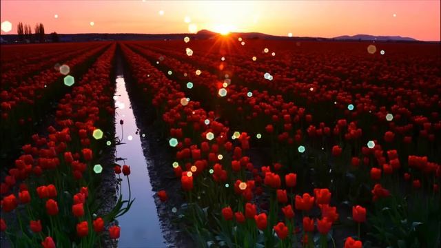 Самая Красивая Музыка в мире*Забываешь обо всём*Saxophone*?? смотреть онлайн