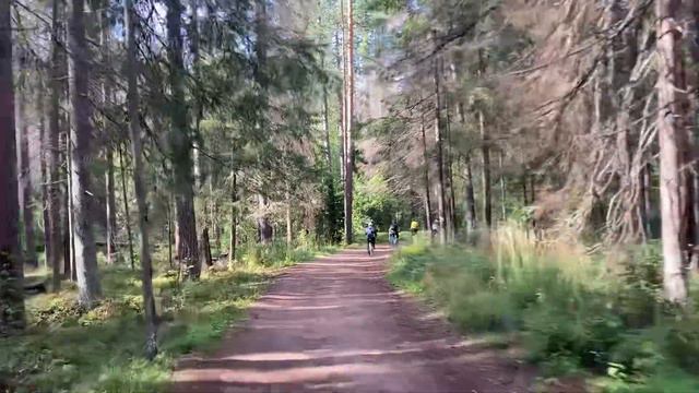 Линдуловская роща велопоход смотреть онлайн