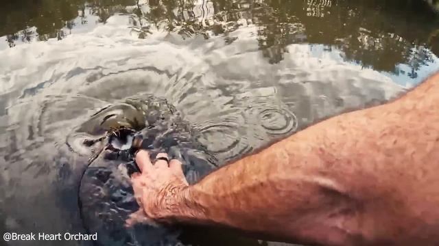 Best Drain Unclogging Compilation #11 смотреть онлайн
