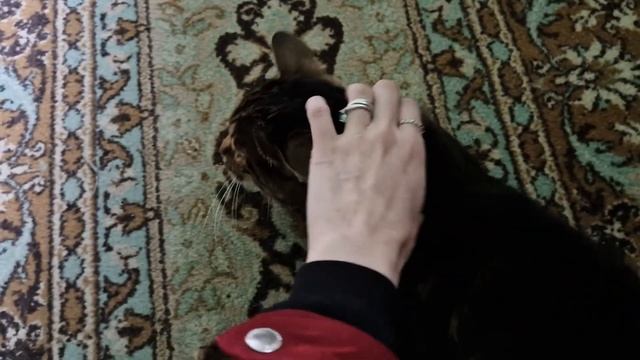 ДАЧНЫЙ ВЛОГ смотреть онлайн