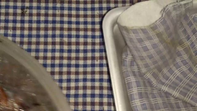 ПАН8 Биологический стимулятор роста семян рассады растений Слизь дождевых червей смотреть онлайн