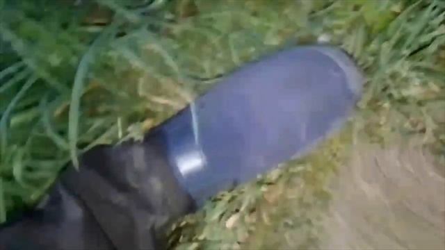 Спасаем ёжика, застрявшего в заборе. смотреть онлайн