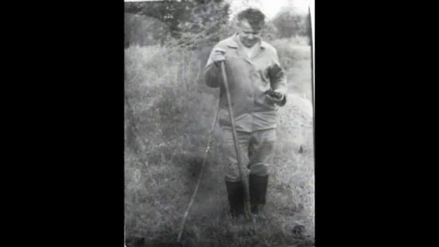 петрович смотреть онлайн