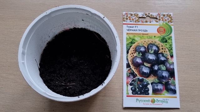 Раннеспелый томат "Черная гроздь" . Семена на рассаду смотреть онлайн