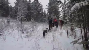 Ахота на кабана Казахстан