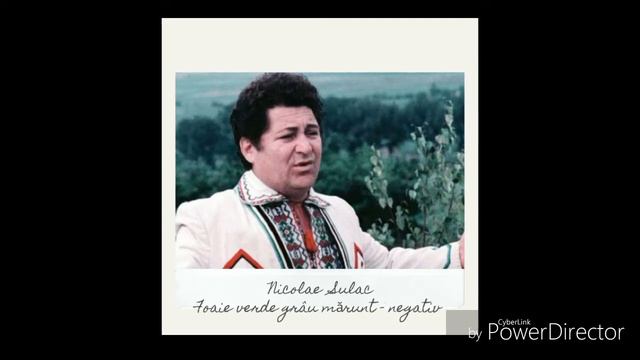 Nicolae Sulac - Foaie Verde Grâu Mărunt (Negativ), Versurile In Descriere