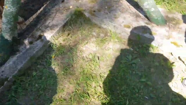 Березинский Биосферный Заповедник Лесной ЗООПАРК и Лепельское озеро смотреть онлайн