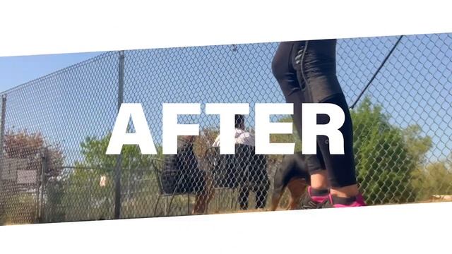 Была агрессия на собак смотреть онлайн