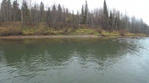 Сплав по реке Колва заканчивается