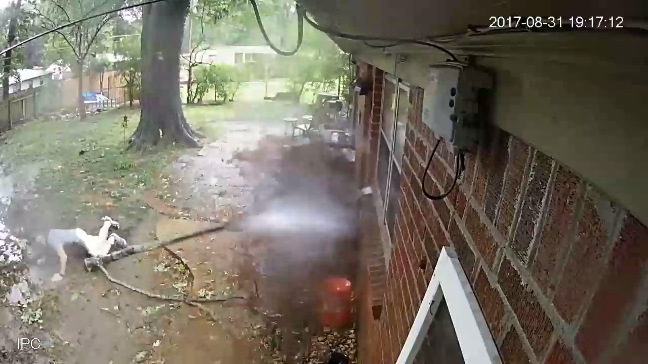 Чуть не убило веткой смотреть онлайн