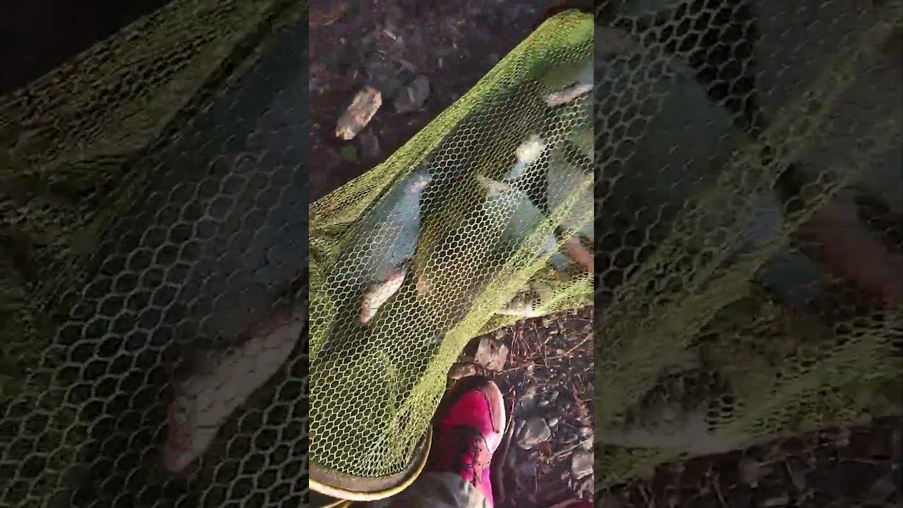 Вот так поступает настоящий рыбак смотреть онлайн