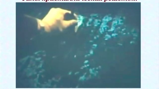 Кристаллические решетки смотреть онлайн