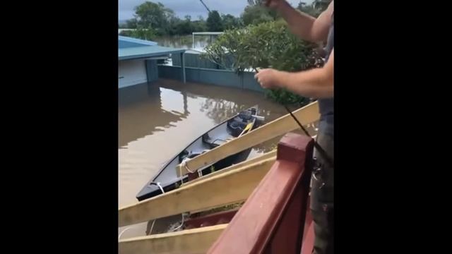 Australian man catches fish from his verandah in flood water. смотреть онлайн