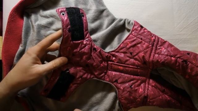 #ОДЕЖДА ДЛЯ СОБАКИ С ALIEXPRESS | ПОКУПКИ ДЛЯ СОБАКИ С АЛИЕКСПРЕСС | Посылки из Китая смотреть онлайн