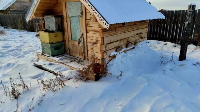 зимовка пчел в апидомике, Сибирь смотреть онлайн