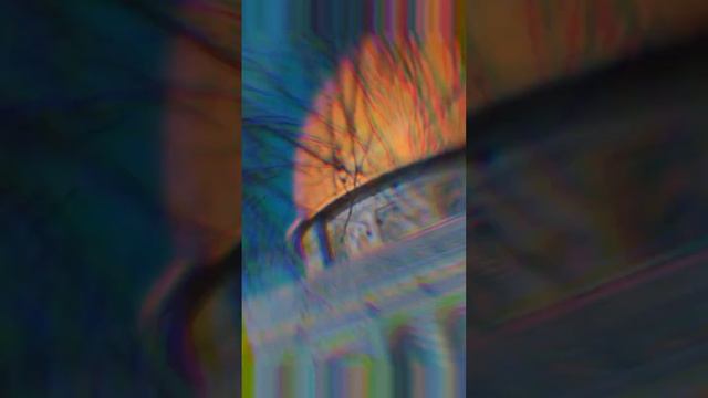 Sajjad video Masjid aqsa YouTube channel short video Islami video смотреть онлайн