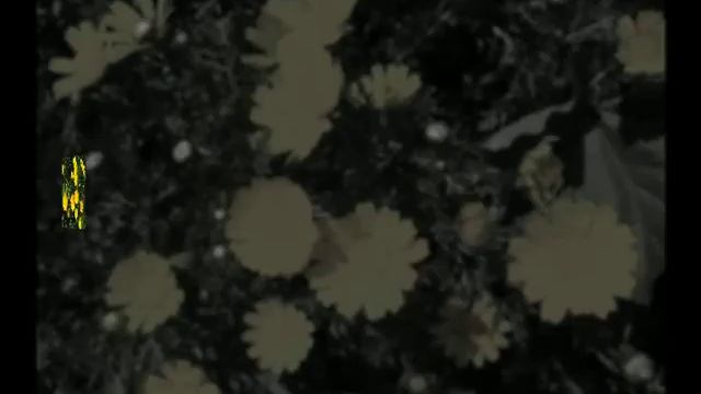 Tessera Tzai Tessera.AVI