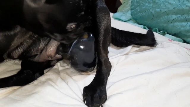 Учим Делать с Ответственностью