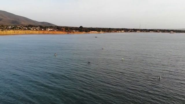 Paddle SUP Kayak en Casa Mejillón - Master смотреть онлайн
