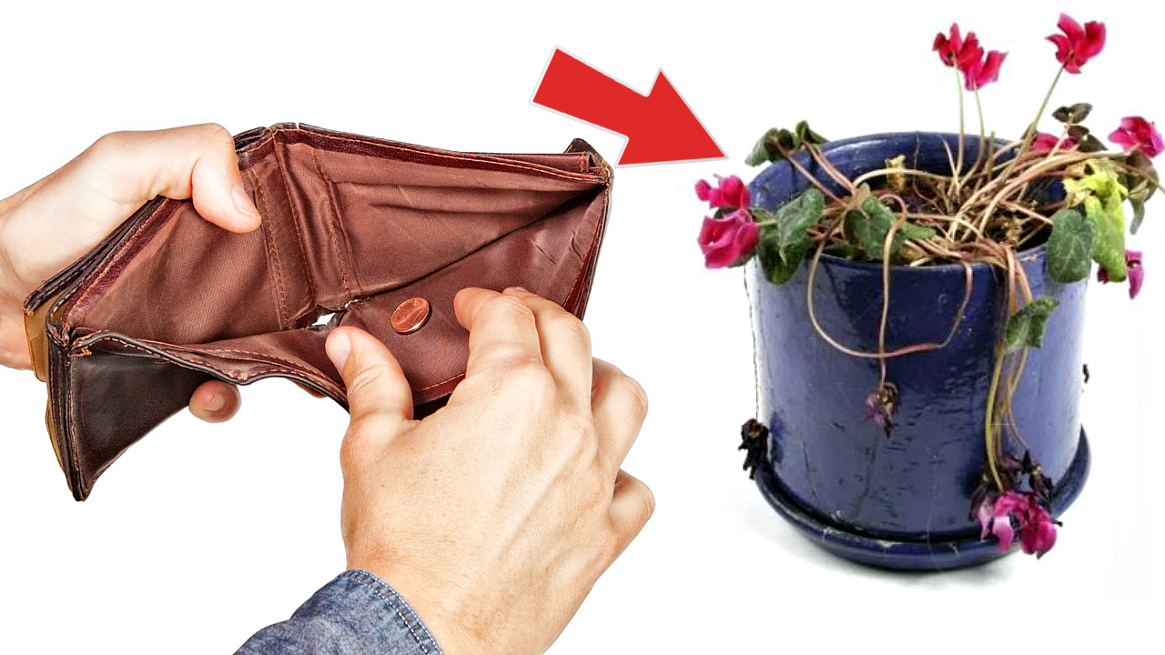 Выкиньте срочно из дома эти предметы. Из за них вы бедные! Какие предметы в доме притягивают нищету? смотреть онлайн