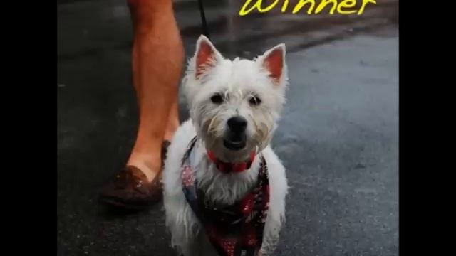 Alex G - Sometimes смотреть онлайн