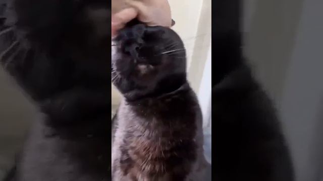 Хватит (продолжай) смотреть онлайн