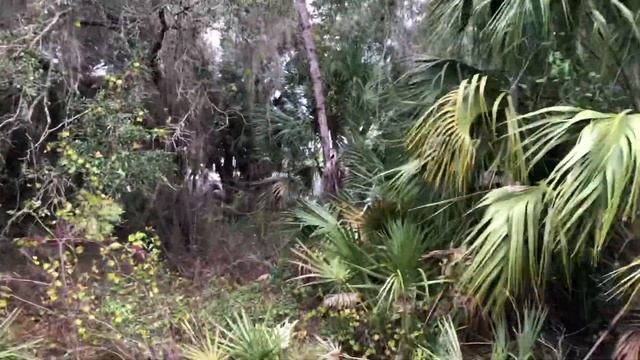 Земля в Америке на продажу. Участок во Флориде за 12000$. Город Норт-Порт смотреть онлайн