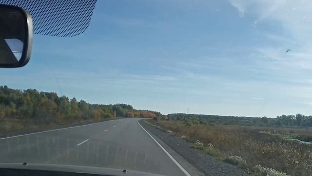 Эх дороги 🤔.Мускари,осы🐝 и цветы 🌸🍀🍁 смотреть онлайн