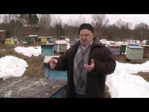 КАКУЮ ПОРОДУ ПЧЁЛ ВЫБРАТЬ?