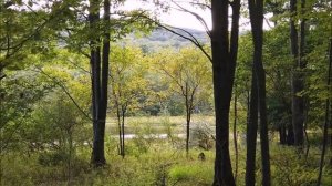 Сергей Есенин. Сборник Стихов. Лучшие стихи Сергея Есенина.
