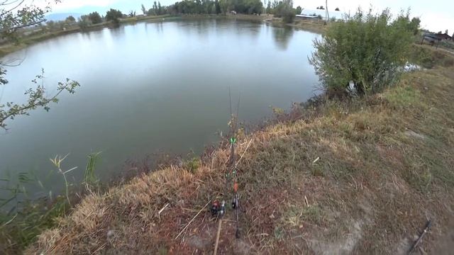 ФОРЕЛЬ НА СПИННИНГ и ЗАКИДУШКИ. Рыбалка с кучей поклёвок! смотреть онлайн