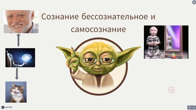 Раздел 1: Введение в психологию (кратко) смотреть онлайн
