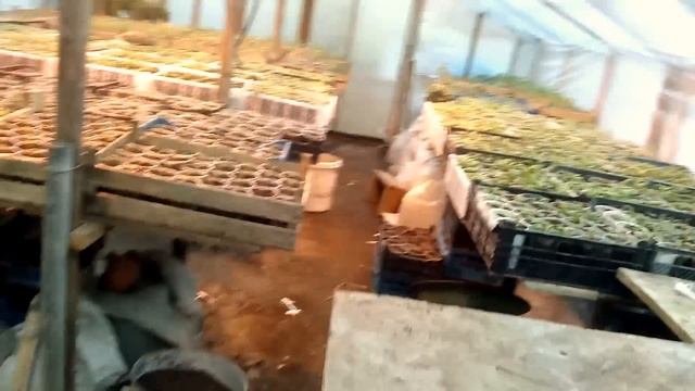 Отопление теплицы печью на отработанном масле смотреть онлайн