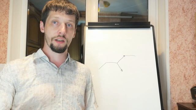 Этапы развития, рост, созревание, переход смотреть онлайн