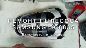 Ремонт пылесоса Samsung SC8835, включается и глохнет